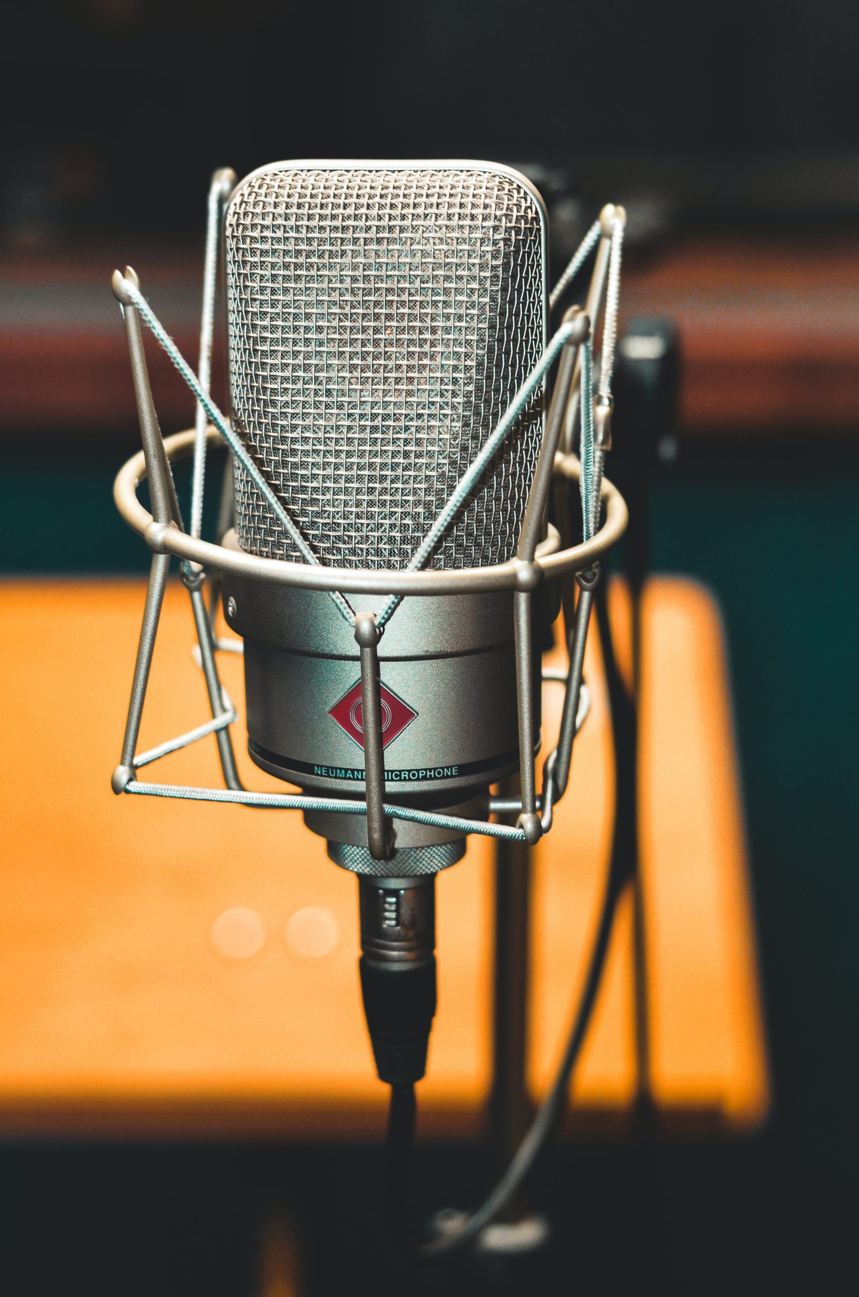 What Type Of Microphone Is Best For Voice Over?